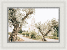 Load image into Gallery viewer, Feather River California Serenity