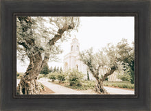 Load image into Gallery viewer, Feather River California Serenity