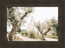 Load image into Gallery viewer, Feather River California Serenity