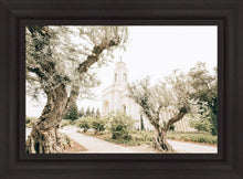 Load image into Gallery viewer, Feather River California Serenity