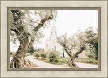 Load image into Gallery viewer, Feather River California Serenity