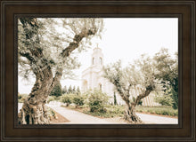 Load image into Gallery viewer, Feather River California Serenity