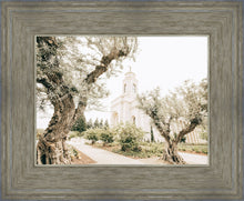 Load image into Gallery viewer, Feather River California Serenity