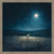 Load image into Gallery viewer, Star of Bethlehem