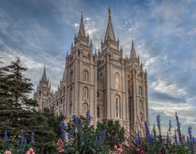 Load image into Gallery viewer, Salt Lake City Utah Temple House of Holiness Gallery Wrap