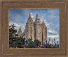 Load image into Gallery viewer, Salt Lake City Utah Temple House of Holiness