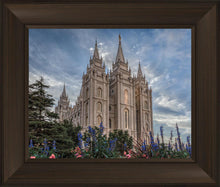 Load image into Gallery viewer, Salt Lake City Utah Temple House of Holiness