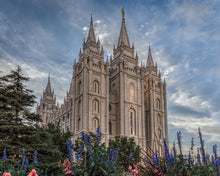 Load image into Gallery viewer, Salt Lake City Utah Temple House of Holiness