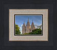 Load image into Gallery viewer, Salt Lake City Utah Temple In His Light