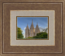 Load image into Gallery viewer, Salt Lake City Utah Temple In His Light