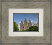 Load image into Gallery viewer, Salt Lake City Utah Temple In His Light
