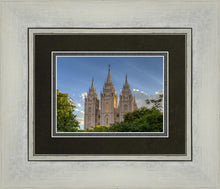 Load image into Gallery viewer, Salt Lake City Utah Temple In His Light