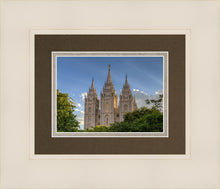 Load image into Gallery viewer, Salt Lake City Utah Temple In His Light