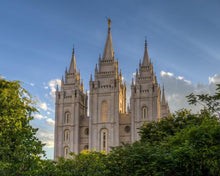Load image into Gallery viewer, Salt Lake City Utah Temple In His Light Gallery Wrap
