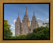 Load image into Gallery viewer, Salt Lake City Utah Temple In His Light Gallery Wrap