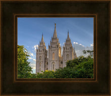 Load image into Gallery viewer, Salt Lake City Utah Temple In His Light