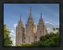 Load image into Gallery viewer, Salt Lake City Utah Temple In His Light Gallery Wrap