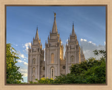 Load image into Gallery viewer, Salt Lake City Utah Temple In His Light Gallery Wrap