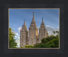 Load image into Gallery viewer, Salt Lake City Utah Temple In His Light