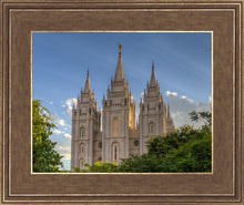 Load image into Gallery viewer, Salt Lake City Utah Temple In His Light