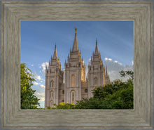 Load image into Gallery viewer, Salt Lake City Utah Temple In His Light