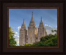 Load image into Gallery viewer, Salt Lake City Utah Temple In His Light