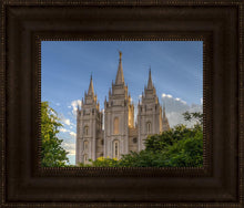 Load image into Gallery viewer, Salt Lake City Utah Temple In His Light