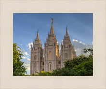 Load image into Gallery viewer, Salt Lake City Utah Temple In His Light