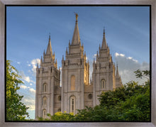 Load image into Gallery viewer, Salt Lake City Utah Temple In His Light Gallery Wrap