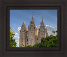 Load image into Gallery viewer, Salt Lake City Utah Temple In His Light