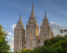 Load image into Gallery viewer, Salt Lake City Utah Temple In His Light
