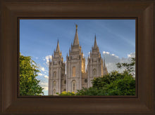 Load image into Gallery viewer, Salt Lake City Utah Temple In His Light