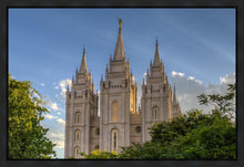 Load image into Gallery viewer, Salt Lake City Utah Temple In His Light Gallery Wrap