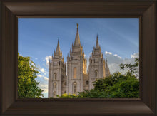 Load image into Gallery viewer, Salt Lake City Utah Temple In His Light