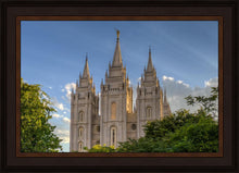 Load image into Gallery viewer, Salt Lake City Utah Temple In His Light