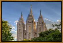 Load image into Gallery viewer, Salt Lake City Utah Temple In His Light Gallery Wrap