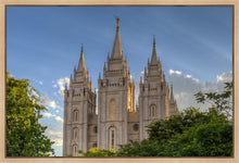 Load image into Gallery viewer, Salt Lake City Utah Temple In His Light Gallery Wrap