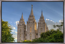 Load image into Gallery viewer, Salt Lake City Utah Temple In His Light Gallery Wrap