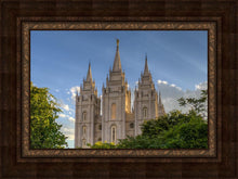 Load image into Gallery viewer, Salt Lake City Utah Temple In His Light