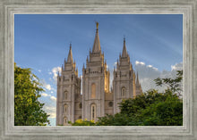 Load image into Gallery viewer, Salt Lake City Utah Temple In His Light