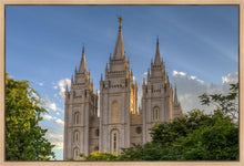 Load image into Gallery viewer, Salt Lake City Utah Temple In His Light Gallery Wrap