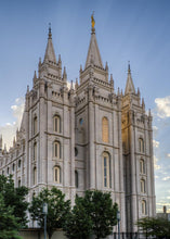 Load image into Gallery viewer, Salt Lake City Utah Temple Rays of Light Portrait