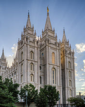 Load image into Gallery viewer, Salt Lake City Utah Temple Rays of Light Portrait