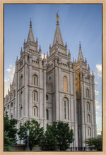 Load image into Gallery viewer, Salt Lake City Utah Temple Rays of Light Portrait Gallery Wrap