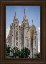 Load image into Gallery viewer, Salt Lake City Utah Temple Rays of Light Portrait