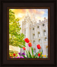Load image into Gallery viewer, Salt Lake Spring Tulips