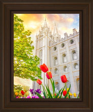 Load image into Gallery viewer, Salt Lake Spring Tulips