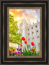 Load image into Gallery viewer, Salt Lake Spring Tulips