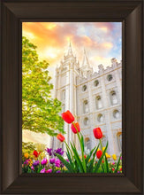 Load image into Gallery viewer, Salt Lake Spring Tulips
