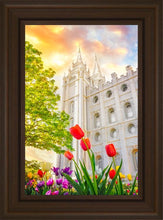 Load image into Gallery viewer, Salt Lake Spring Tulips